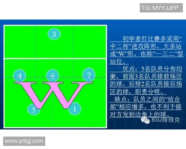 南京篮球队速度对比分析揭示战术优势与提升空间