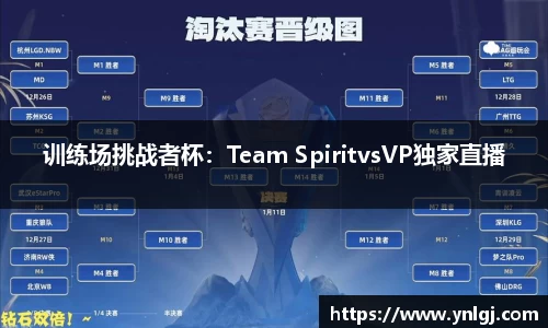 训练场挑战者杯：Team SpiritvsVP独家直播