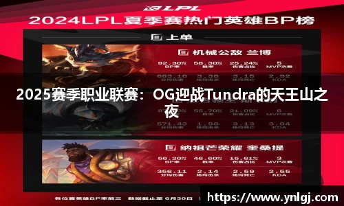 2025赛季职业联赛：OG迎战Tundra的天王山之夜